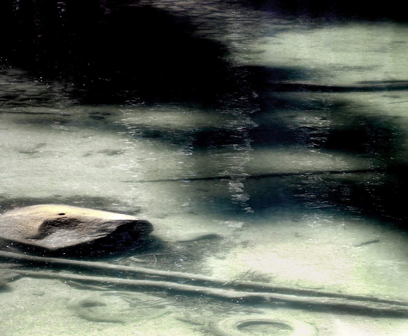 suppressed memories